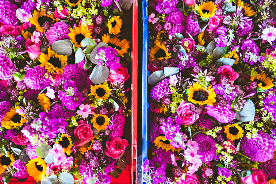 wedding at gate-street-barn-2