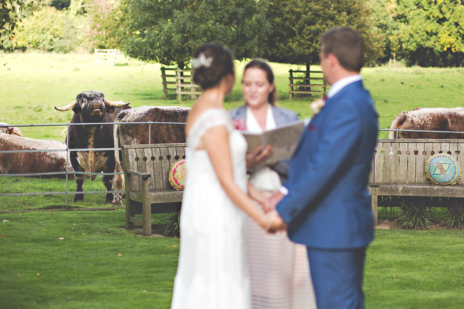 Funny moment at Gate Street Barn